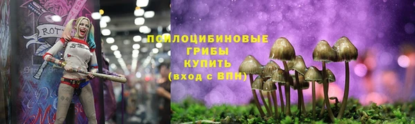 мескалин Пролетарск