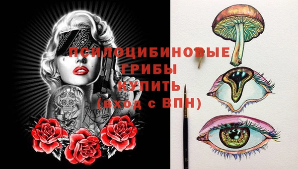 мяу мяу мука Белокуриха