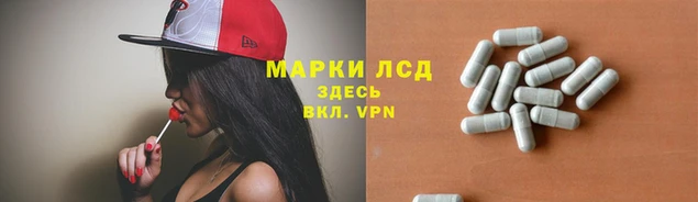 эйфоретик Беломорск