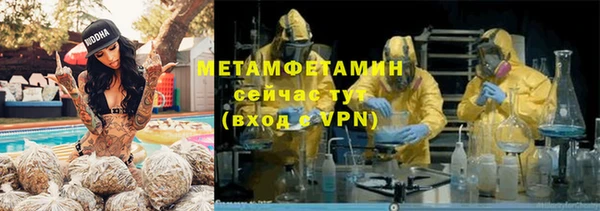 мяу мяу мука Белокуриха