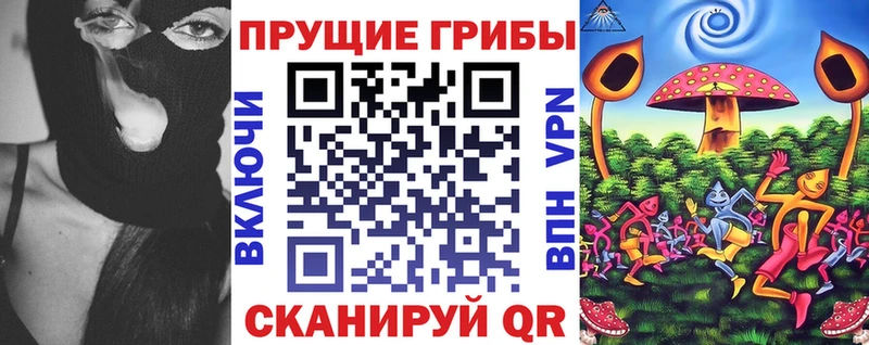 Псилоцибиновые грибы Psilocybine cubensis  Тула 