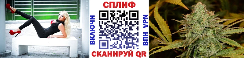 Бошки Шишки семена  hydra зеркало  Тула 